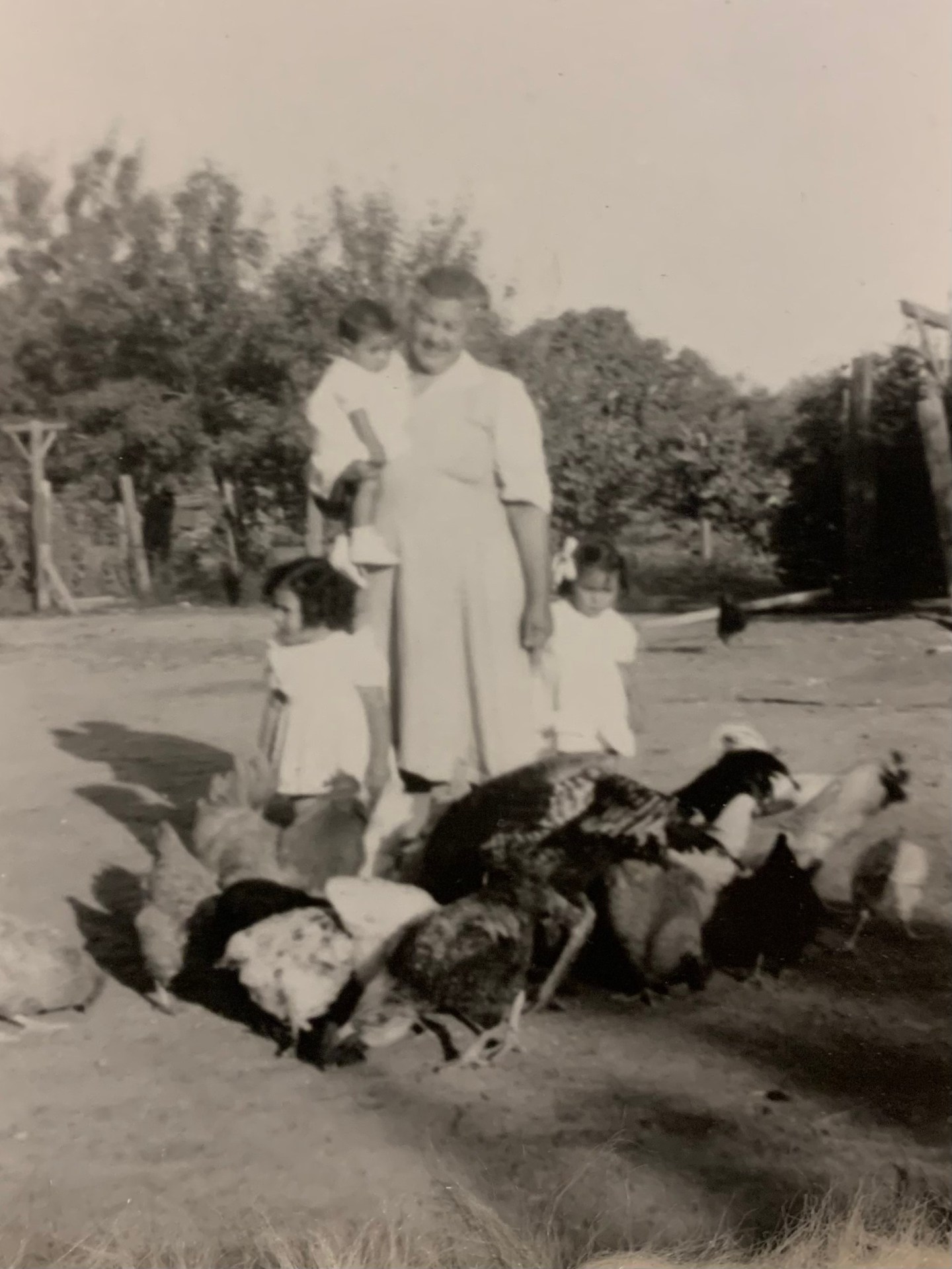 Caesar R Quihuis Albert “Al” Monreal Quihuis – South Phoenix Oral History Project